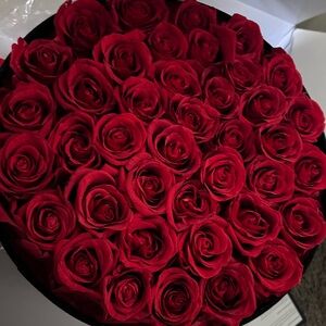 Preserved Red Rose Bouquet